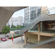 Bsdun Einkaufszentrum Rolltreppe von China Lieferant